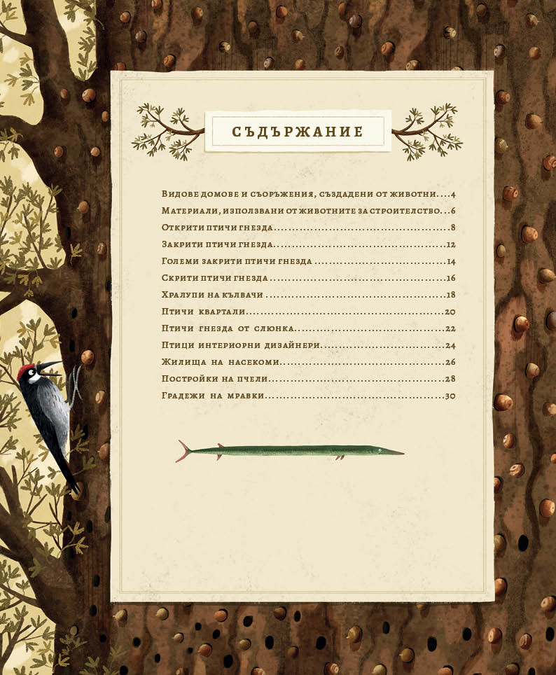 Как строят животните?
